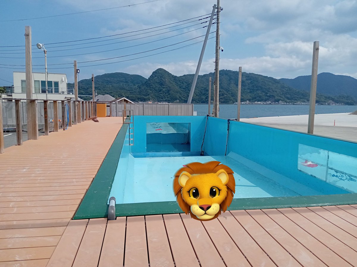 bubupy0212's tweet photo. 今日はダイビングプールに鏡貼りしたぁ https://t.co/TbRVpue7Ks
