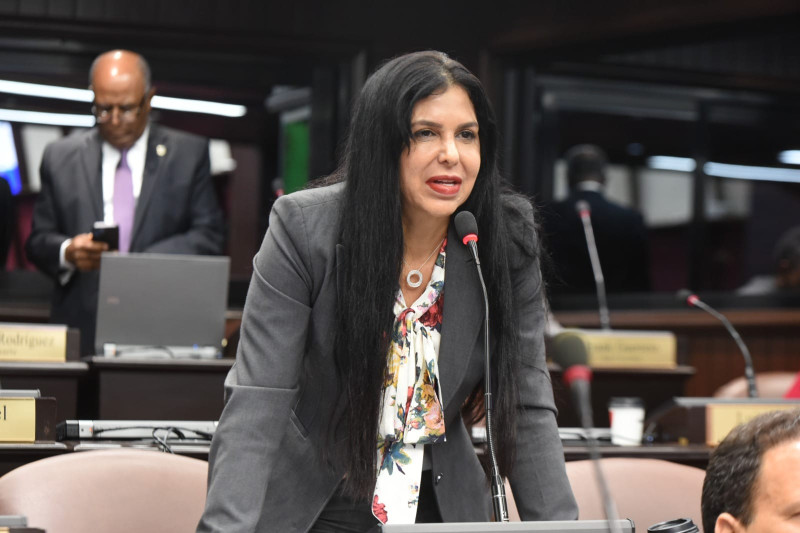 Suprema decidirá hoy si confirma o anula condena de ex diputada Rosa Amalia Pilarte

🔗listindiario.com/la-republica/p…

#ListínDiario