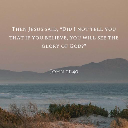 Faith doesn’t bloom on mountaintops—
It’s born in the valley where nothing makes sense.
When facts mock your belief,
Trust anyway.
Jesus never fails.