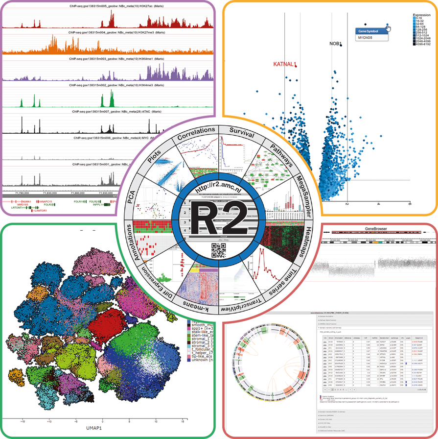 r2_microarray's tweet image. Get a glimpse of what the free open online R2platform has to offer:
r2platform.com/showcase
R2 genomics analysis and visualization platform for biomedical researchers. nocode nor bioinformatics expertise needed.
Cited >3000 times in Pubmed
#Science #genomics #data