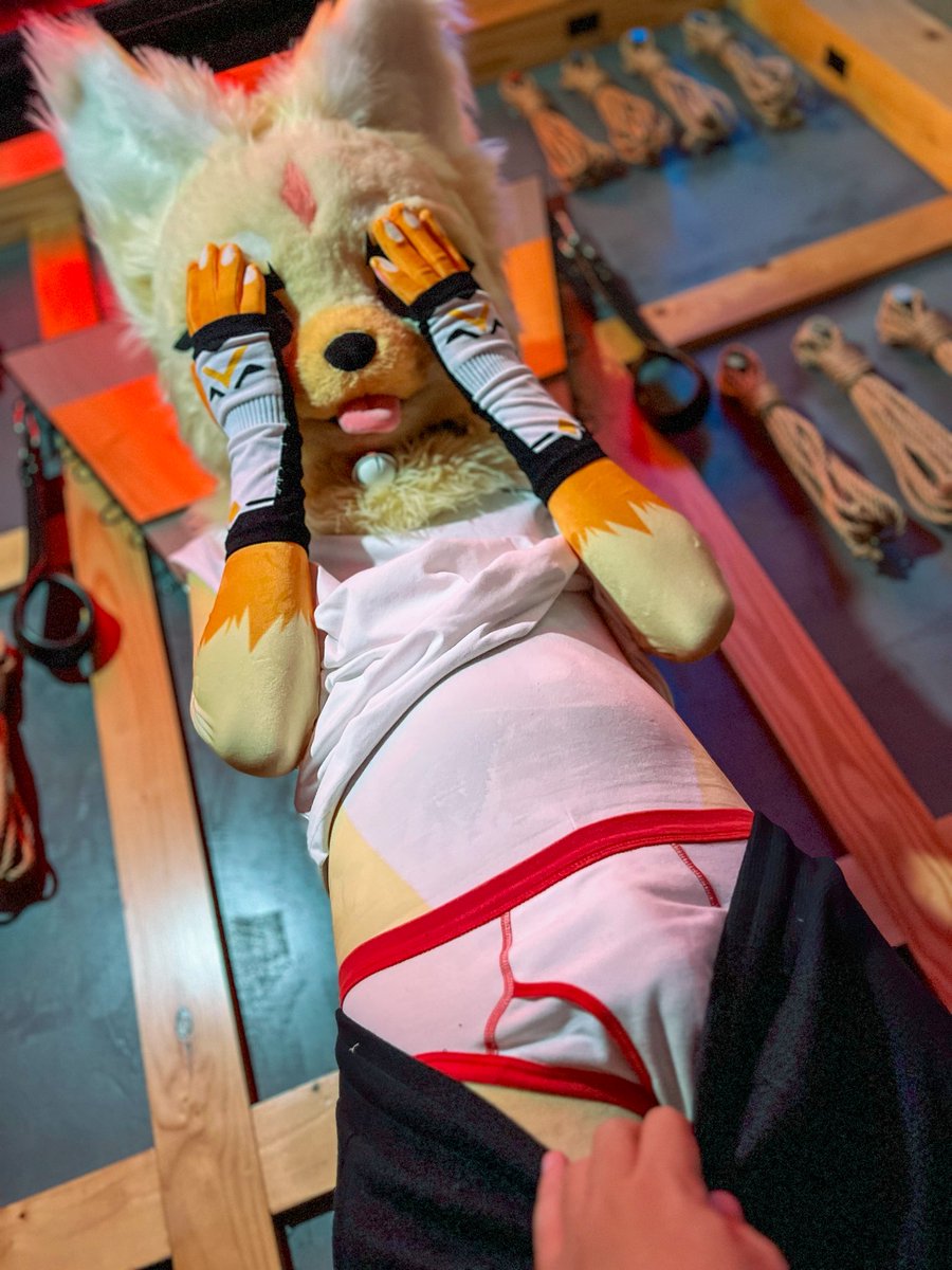 Peek all you want… I’m still not blushing 🫣

📷: <a href="/kennythefursuit/">KennyXP</a> 
#FursuitFriday