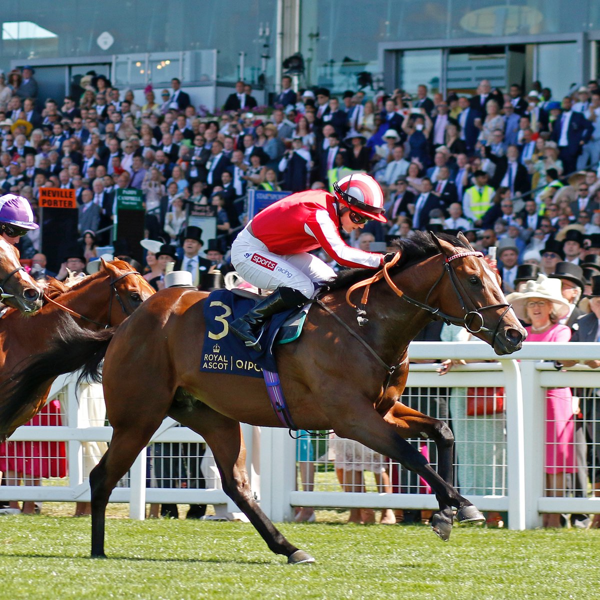 Tattersalls tweet media