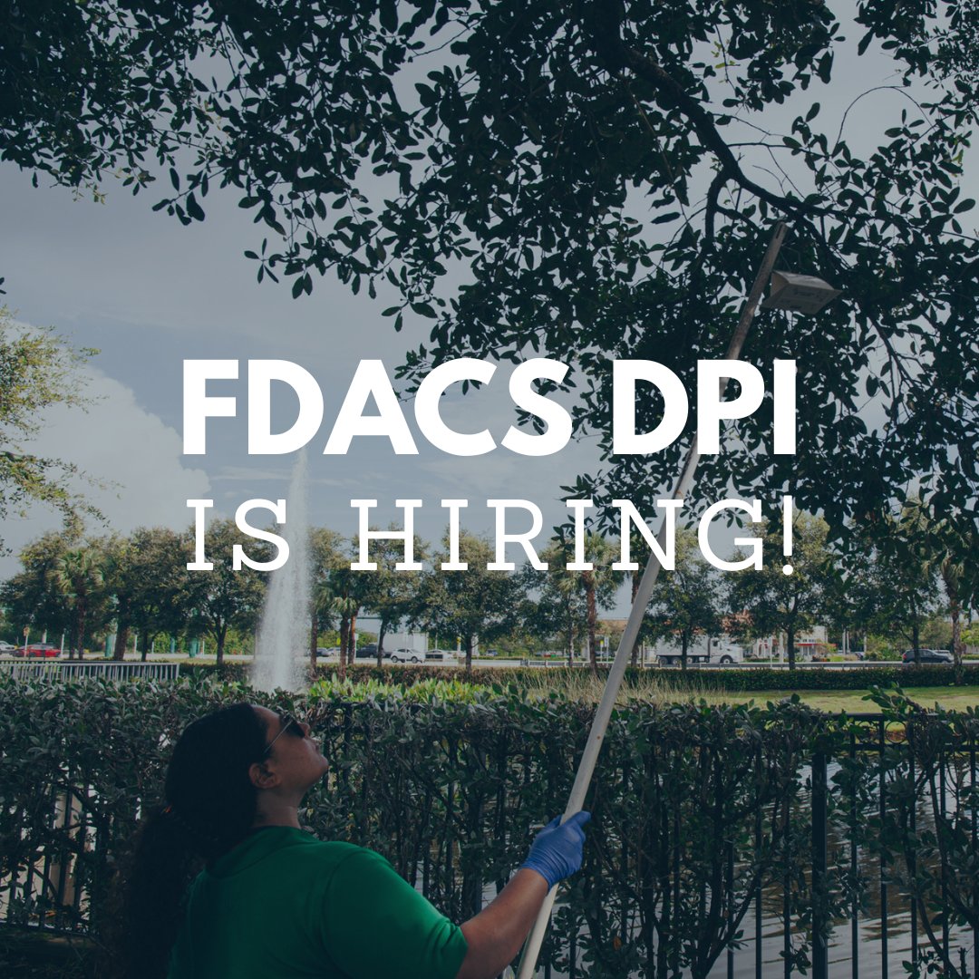 🚨 Looking for a new position? FDACS is hiring! 🚨 

We're seeking passionate, mission-driven individuals who love agriculture and the great outdoors. 🌿 

🌐 If you’re interested, check out the available job openings on our website:  bit.ly/FDACS-positions