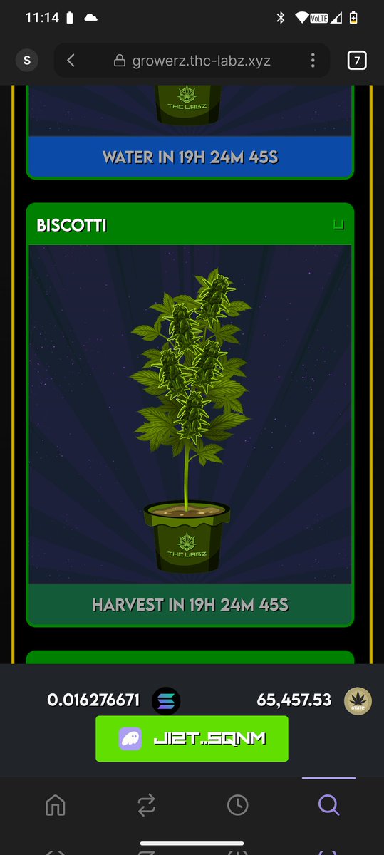 UKSG_'s tweet image. Upgrading these @THC_Labz Growerz NFT in trait store is absolutely dope and accumulating seeds ready. Lfg next stop is @playsolana device don&apos;t snooze on this epic game to come Bud Warz on the @solana #blockchaingaming #BlockchainTechnology #CryptoGaming #Solana #thc #NFTgame