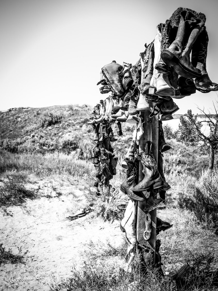 ‘Boot Hill’

Great Sand Hills, SK.