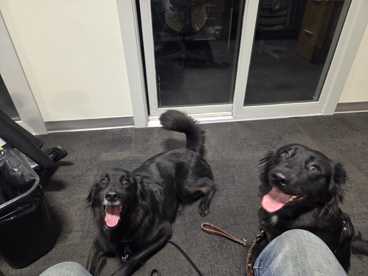 I have some new interns to work with today. Might put them on some fluff pieces.