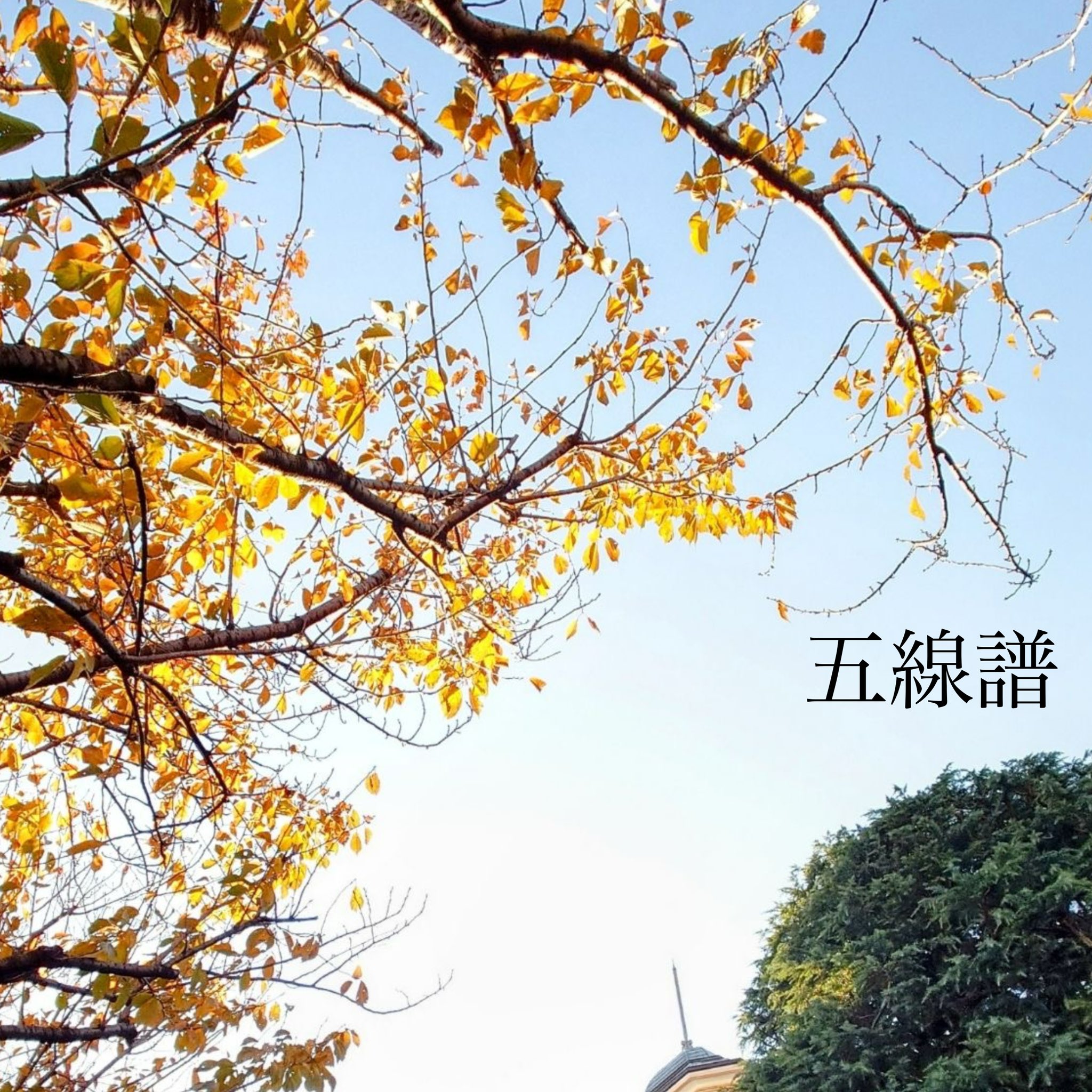 fuzz山 (@fuzzyama) / X