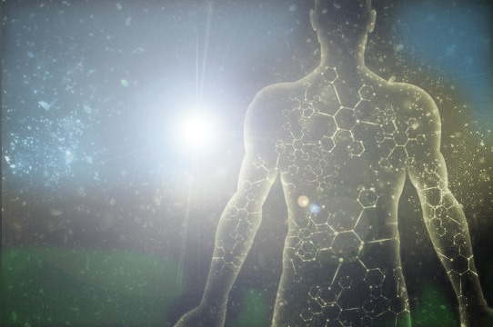Our body is not made up of a system of “capitalism,” this is a socialist system. … I am advocating that what God has set up, that makes every cell comfortable; that sets the body up that when you eat proper, think proper, and your health is well taken care of: None of your