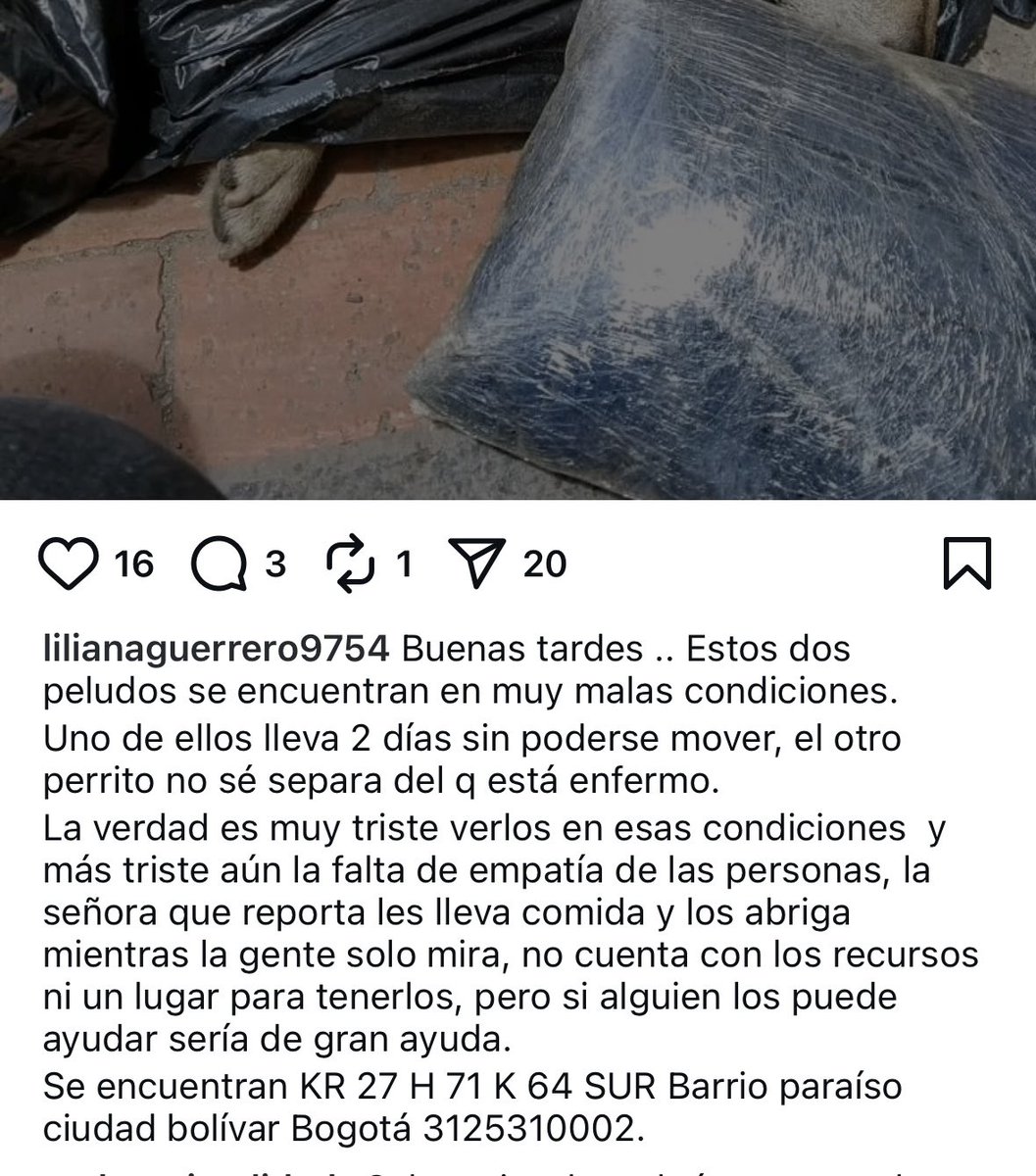 Andrea Padilla Villarraga🐆 (@andreanimalidad) on Twitter photo Sres <a href="/AnimalesBOG/">Protección Animal Bogotá</a> <a href="/AHLLAMAS/">Antonio Hernández</a> anoche nos informaron de este caso en Ciudad Bolívar. Es evidente la urgencia. Les pedimos coordinar con la <a href="/ALCBolivar/">Alcaldía Local de Ciudad Bolívar</a> 🙏🏻 Sres <a href="/AnimalesBOG/">Protección Animal Bogotá</a> <a href="/AHLLAMAS/">Antonio Hernández</a> anoche nos informaron de este caso en Ciudad Bolívar. Es evidente la urgencia. Les pedimos coordinar con la <a href="/ALCBolivar/">Alcaldía Local de Ciudad Bolívar</a> 🙏🏻