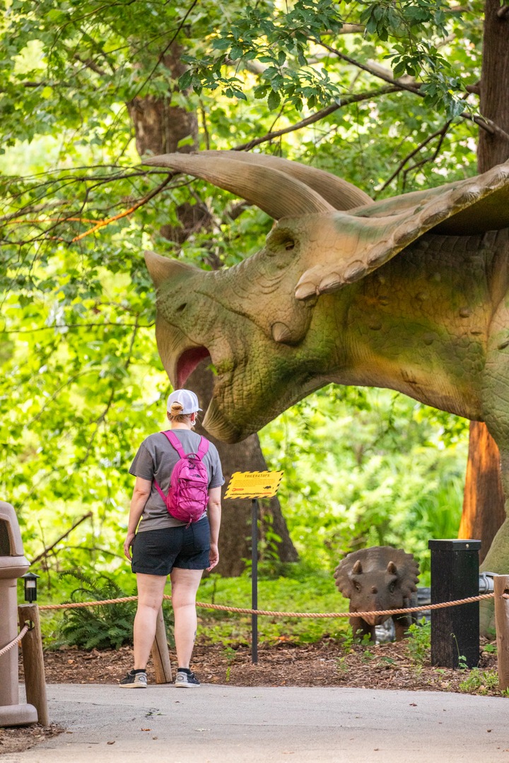 🚨 Final days to see Zoorassic World: Frozen in Time! 🚨
Monday, September 1 is the LAST DAY before this exhibit goes extinct! Don’t miss your chance to discover 25+ life-sized dinosaurs and Ice Age giants before they’re gone for good! 🦖

Tickets: heyor.ca/tWR08X