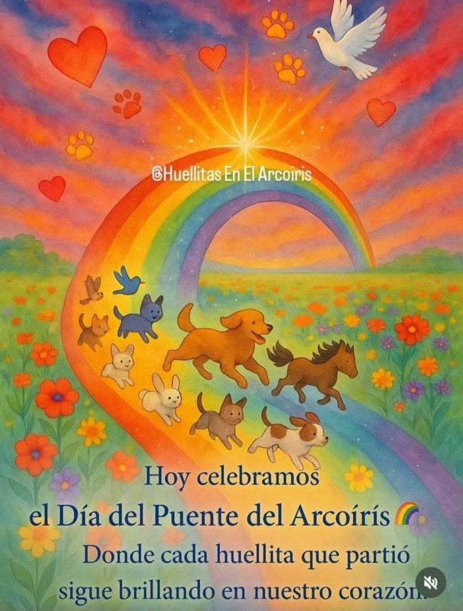 DOGS RESCUE (@dogsrescuec) on Twitter photo 