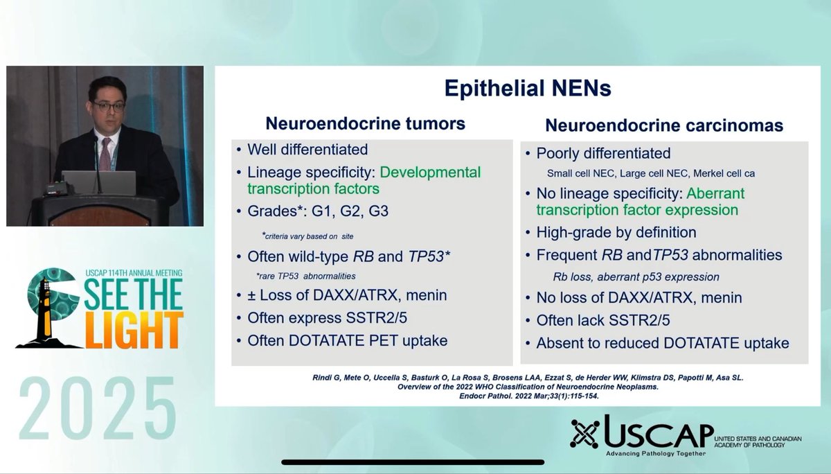 Carol2Path's tweet photo. #USCAP2025 w/ Dr Mete

Differentiated neuroendocrine neoplasms have lineage specificity- they replicate some of the developmental biomarkers based on their anatomic region or location. Contrast to NECs which ❌ respect lineage specificity (aberrant expression)

#PathWebinarPearls https://t.co/Gu2vCOPxJL