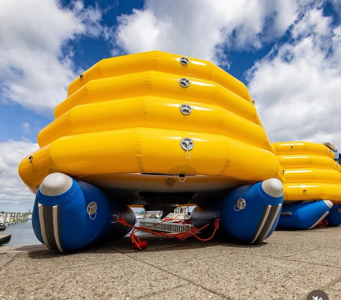 Jeremy D Williams tweet media