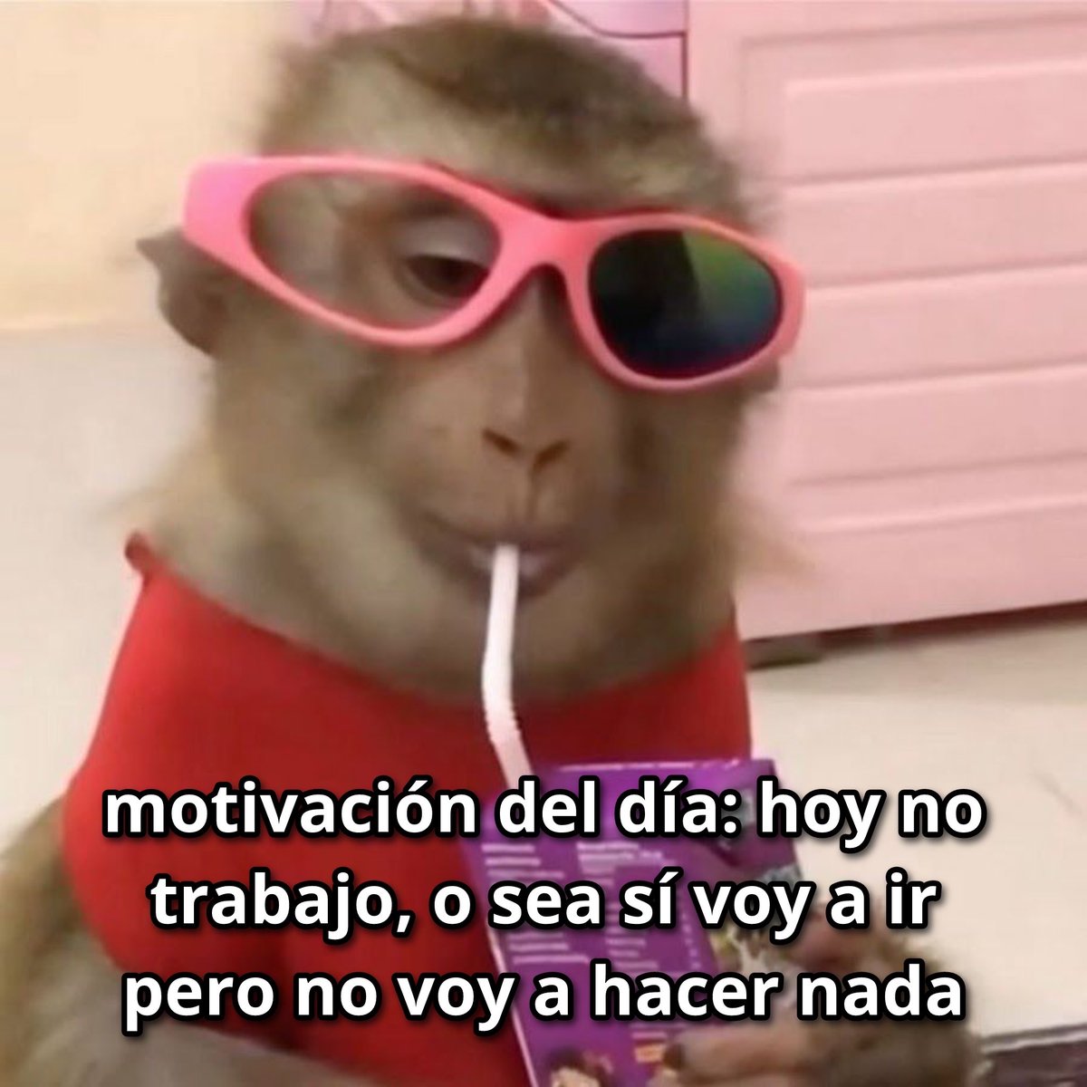 Escritos (@aquilolei) on Twitter photo 