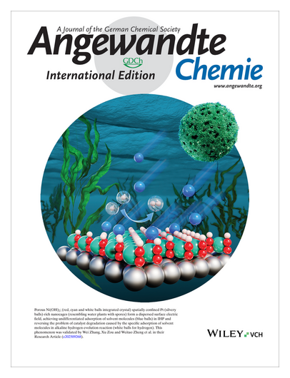 angew_chem's tweet photo. #OnTheCover Reversing Pt/C Degradation Via Ni(OH)2-Wrapping Induced Spreading of Electric Field for Alkaline #HydrogenEvolutionReaction (Weitao Zheng and co-workers) https://t.co/XMJ0z45FSw • https://t.co/gOMGUiewOA https://t.co/v96OU7JK2G