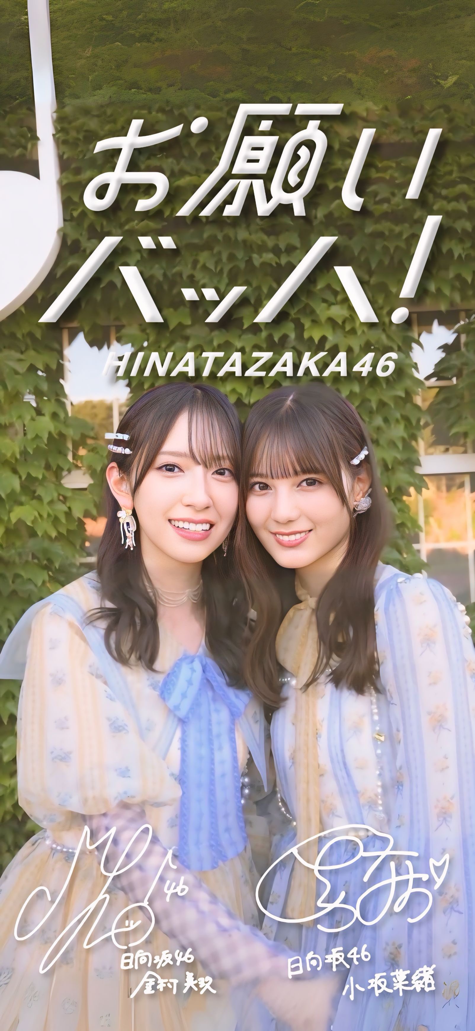 やっちゃん on X: 