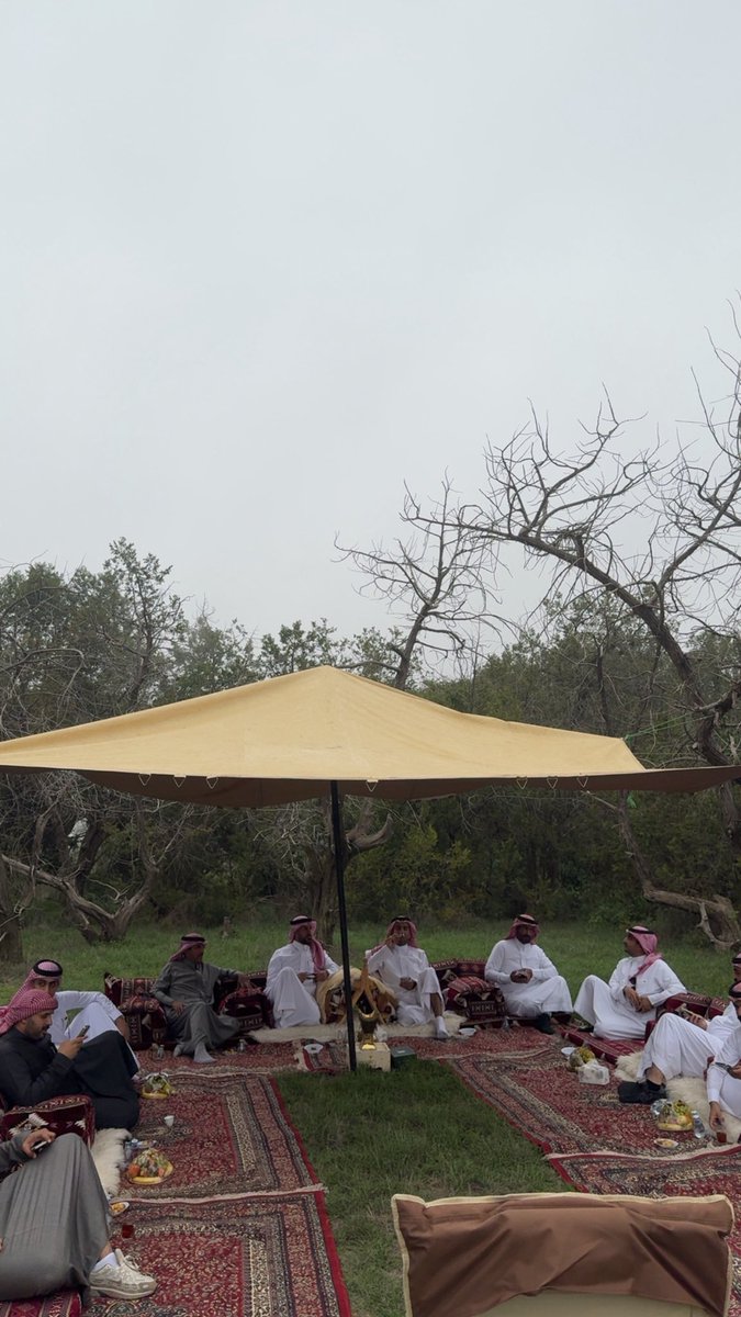 شاقني جو الجنوب وهواها 
يوم جيت #ابها عروس #الجنوب 
والضباب يعانق جبالها