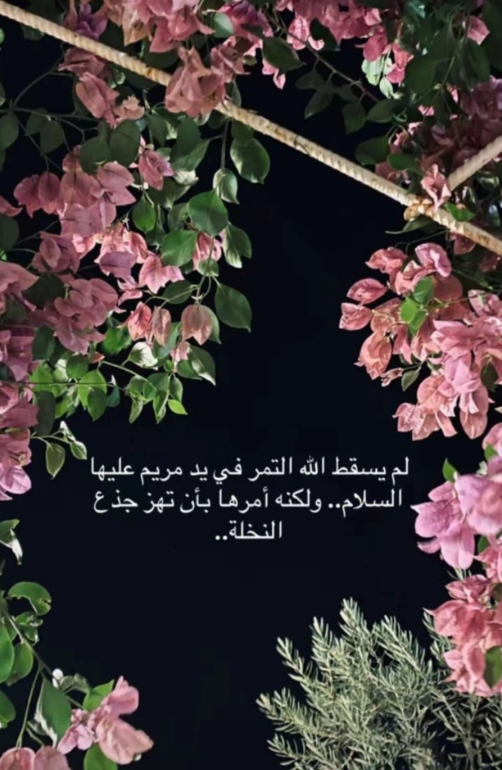 ٠٠٠٠٠ tweet media