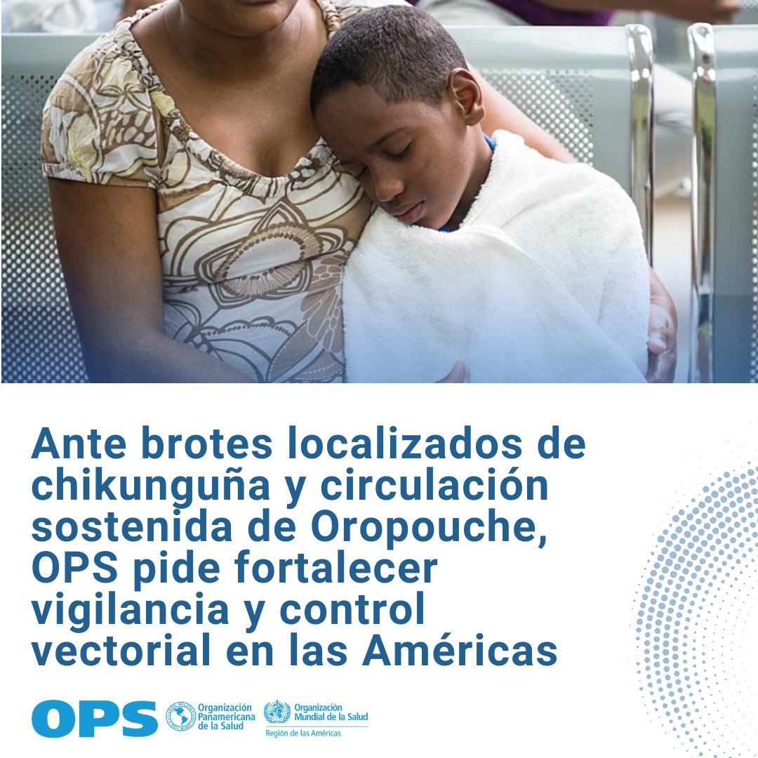 opsoms's tweet photo. 🦟 La OPS alerta sobre brotes de chikunguña y circulación sostenida del virus Oropouche en partes de las Américas.  

🛡️ Es fundamental promover el uso de repelentes y mosquiteros, y adoptar estrategias intersectoriales.  

📖 Más info: https://t.co/DpWM7X0vNY https://t.co/qRbYIu7yRI