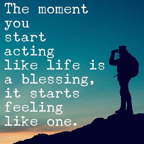The quote, “The moment you start acting like life is a blessing, it starts feeling like one,” carries a profound message about perspective and gratitude. It reminds us that our outlook shapes our experience of life. eels truly blessed.
