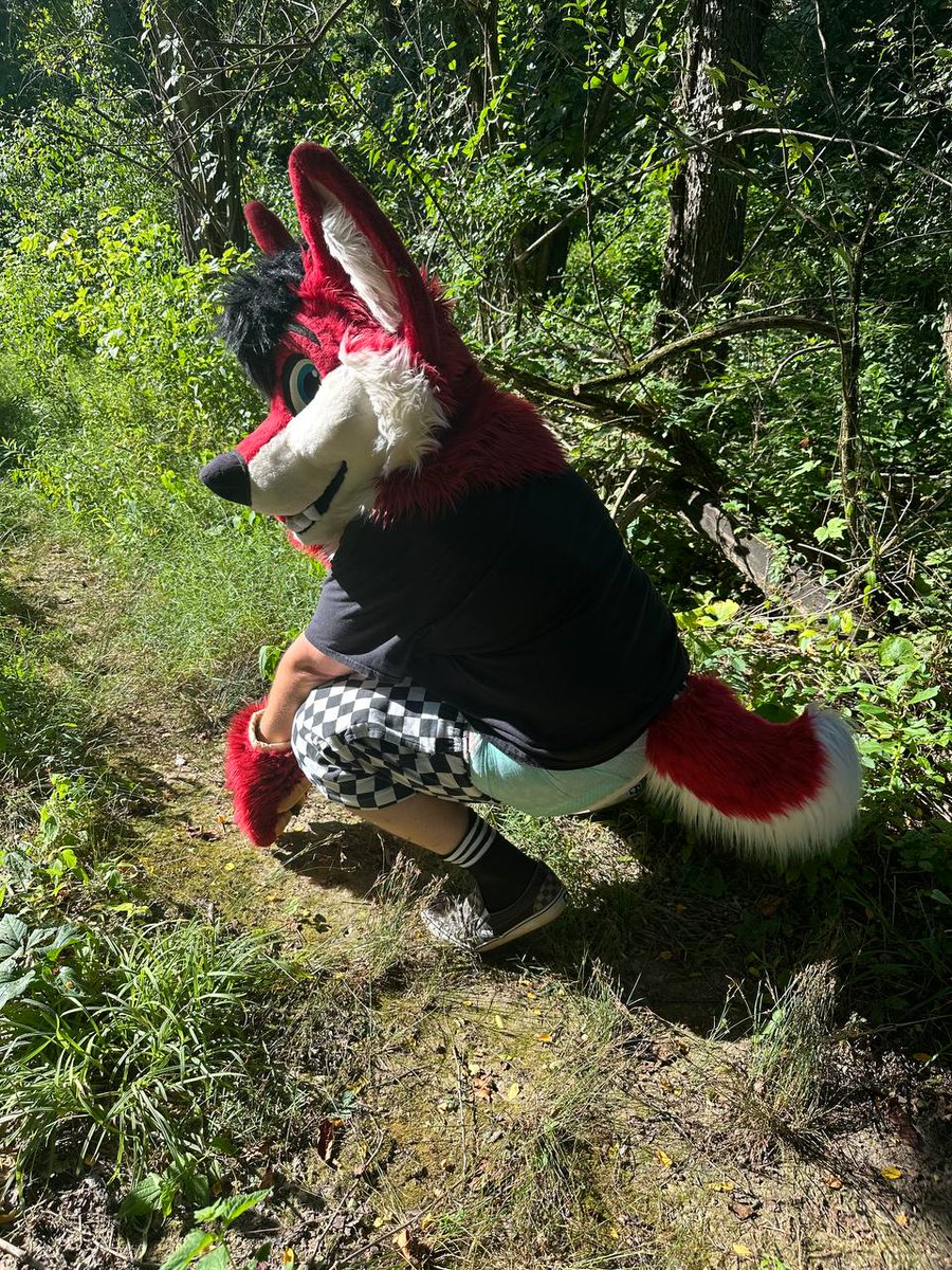 A few trail pamps pics for this big diaper friday.
#bdf #diaperfur

📸: <a href="/LittleBlueShiba/">SKYLA SUPERSOAKER 🏳️‍⚧️</a>