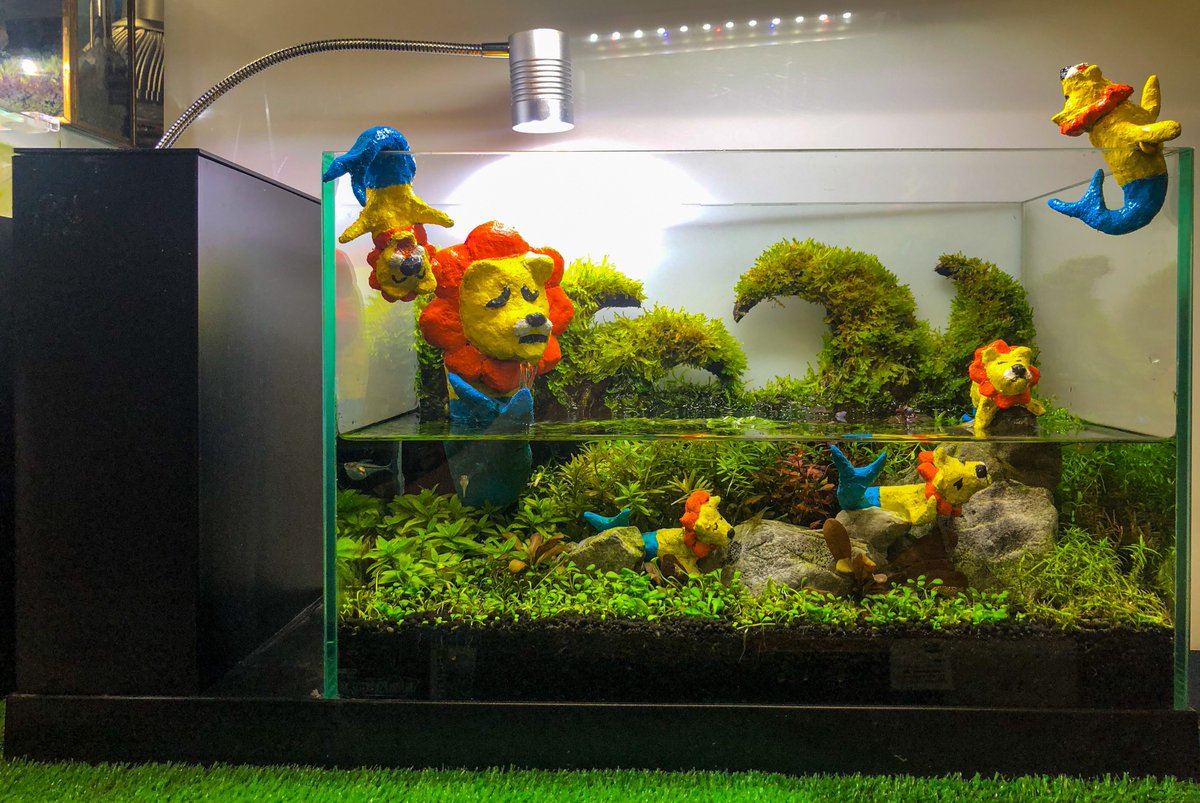 tomoakiueno0223's tweet image. はい。

#GALC
#GEXアクアレイアウトカーニバル
#GEX
#ジェックス