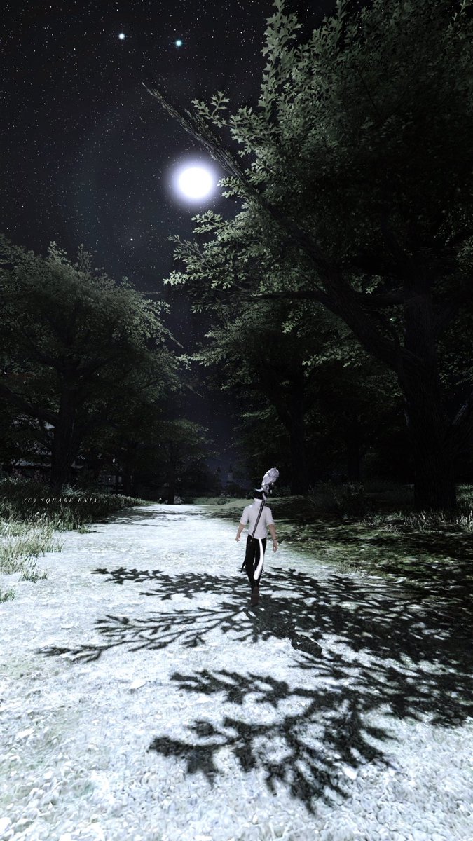 ｢月が綺麗ですね｣

#FFXIV