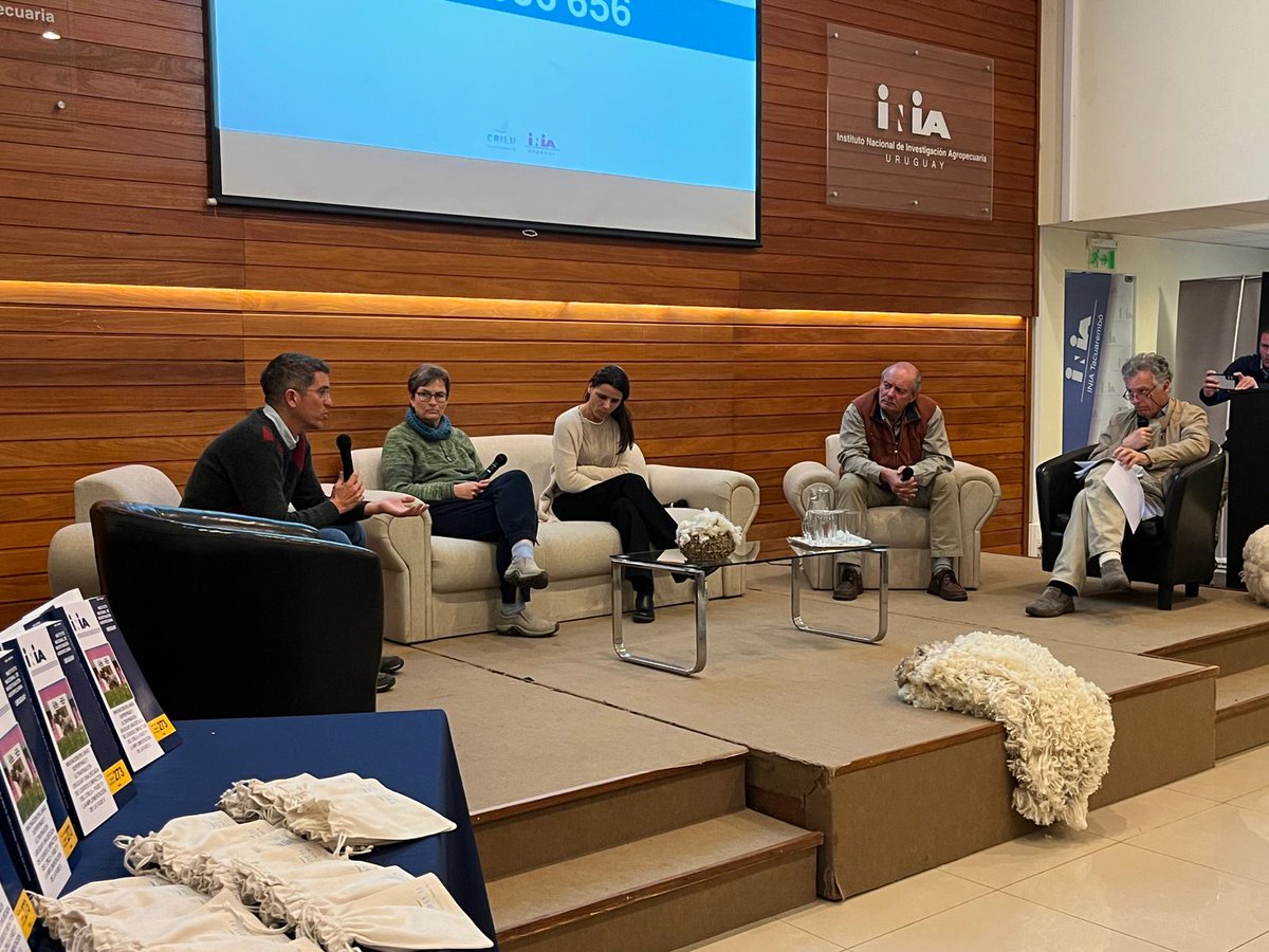 INIA_UY's tweet photo. @CRILU_uy @INAC_Uruguay @SUL_uy @FabioMontossiok @GabrielCiappes1 @FagroUdelar Ignacio de Barbieri (INIA), mostró datos de desempeño productivo del Núcleo Merino Ultrafino tras 12 años de selección. "Aumentó el peso vellón, el peso vivo de las ovejas y la supervivencia de corderos; se redujo el diámetro de la fibra y mejoró el rendimiento al lavado", valoró https://t.co/K4MtRyqQZF
