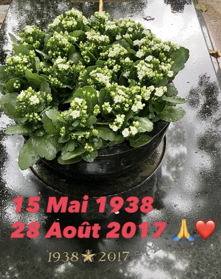 Véronique de Villèle (@villlede) on Twitter photo 