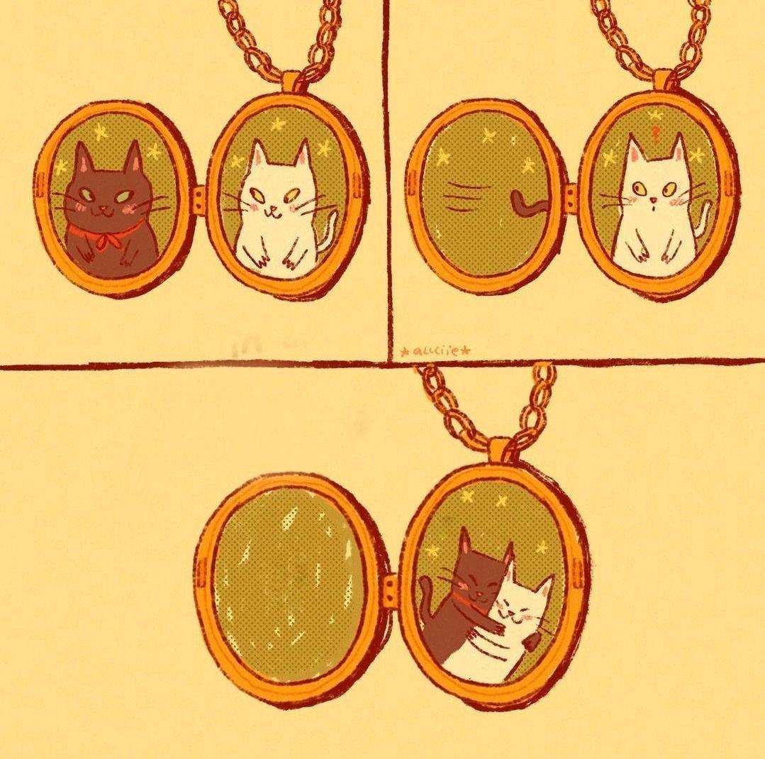 only cute things (@cutedreamvibes) on Twitter photo 