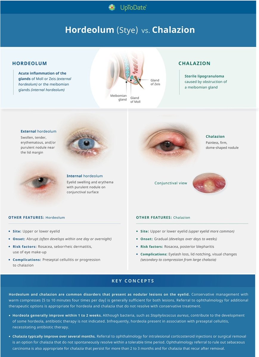 🇸🇦 Abdulaziz Alzughaibi 🇸🇦 tweet media