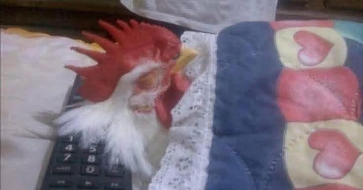 Sigue durmiendo papito, hoy canto yo