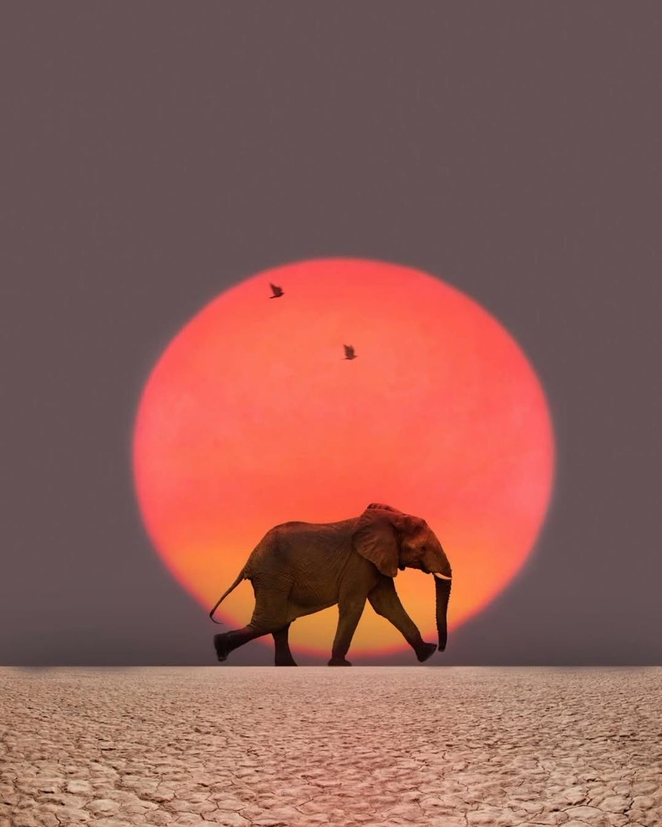 It's your road, and yours alone.
Others may walk it with you,
But no one can walk it for you.

Rumi