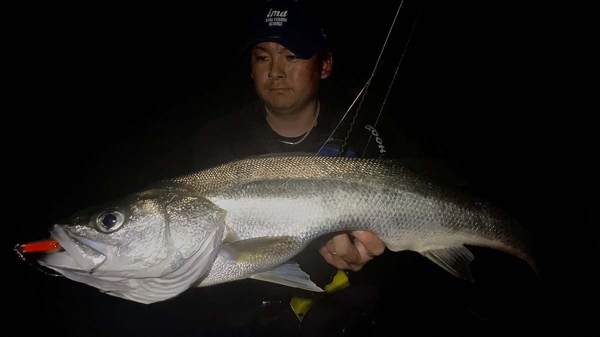アイマになります。 2025 NEW ARRIVAL – LURES | ima 公式ブランドサイト-オンライン