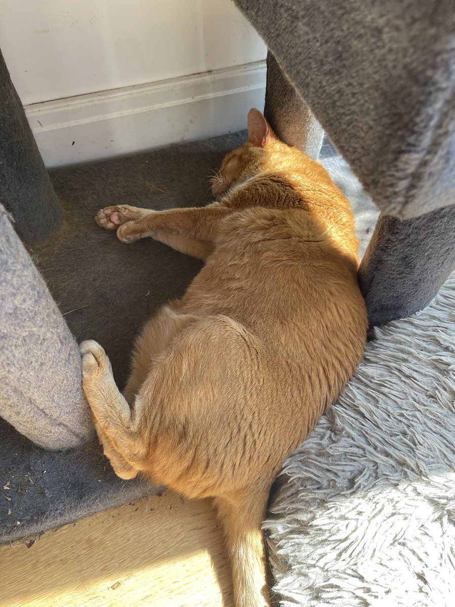 Richard Morgan-Ash tweet media