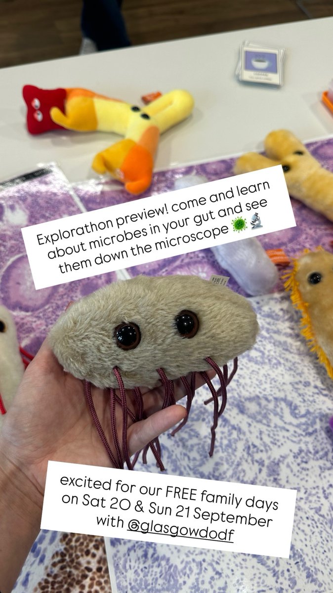 emmacparsons's tweet image. @LabEdwards will be at #Explorathon25 again this year, this time with our new Mighty Microbes activity 🦠🔬 Come and learn about microbes in your gut!
Save the date 20th and 21st September at the ARC, Glasgow!
Thanks to @gsc1 for helping us design our activity!
@UofGlasgow