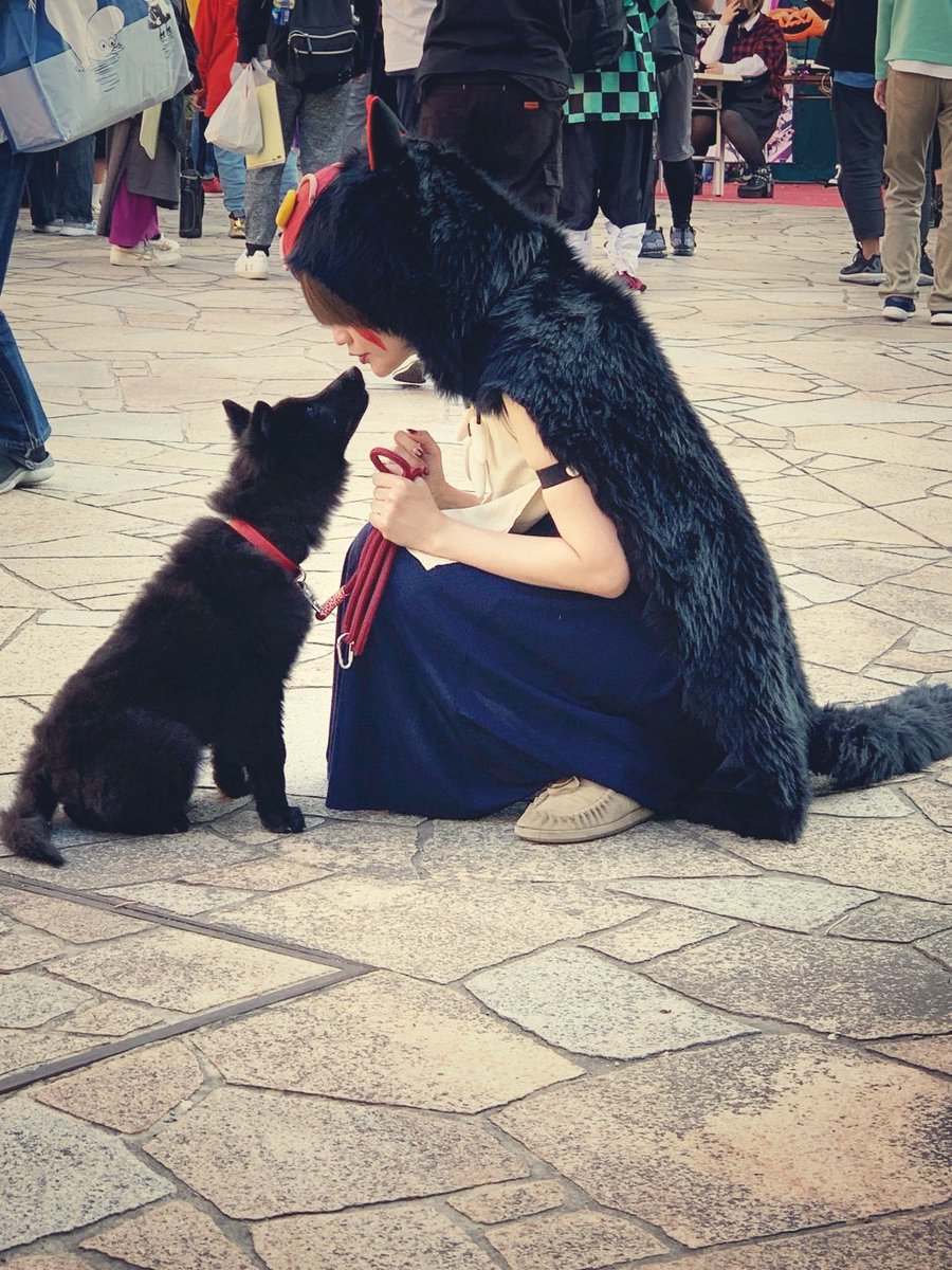 金ロー、もののけ姫だったってよ。