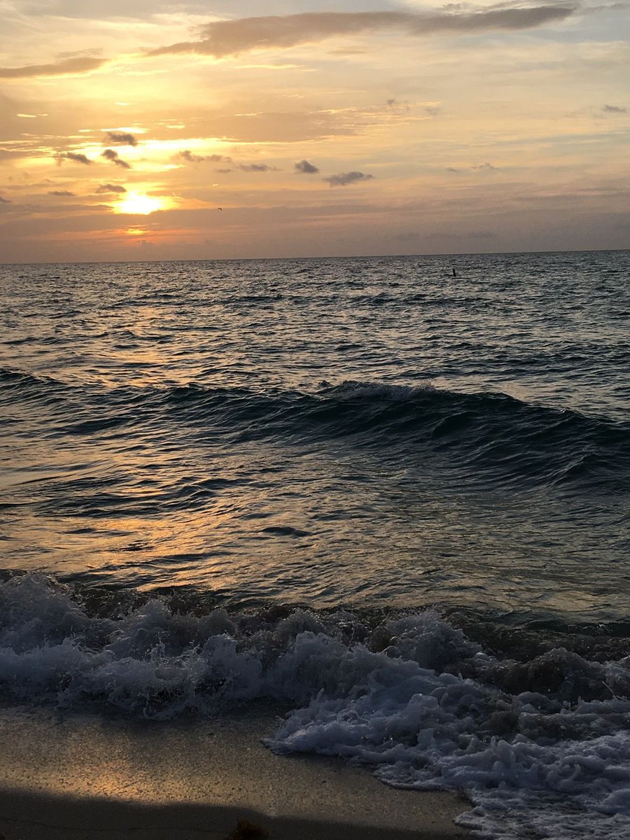 Lisa🌺🍃 (@nurseljohn707) on Twitter photo Live today. 
Not yesterday. 
Not tomorrow. 
Just today. Live today. 
Not yesterday. 
Not tomorrow. 
Just today.