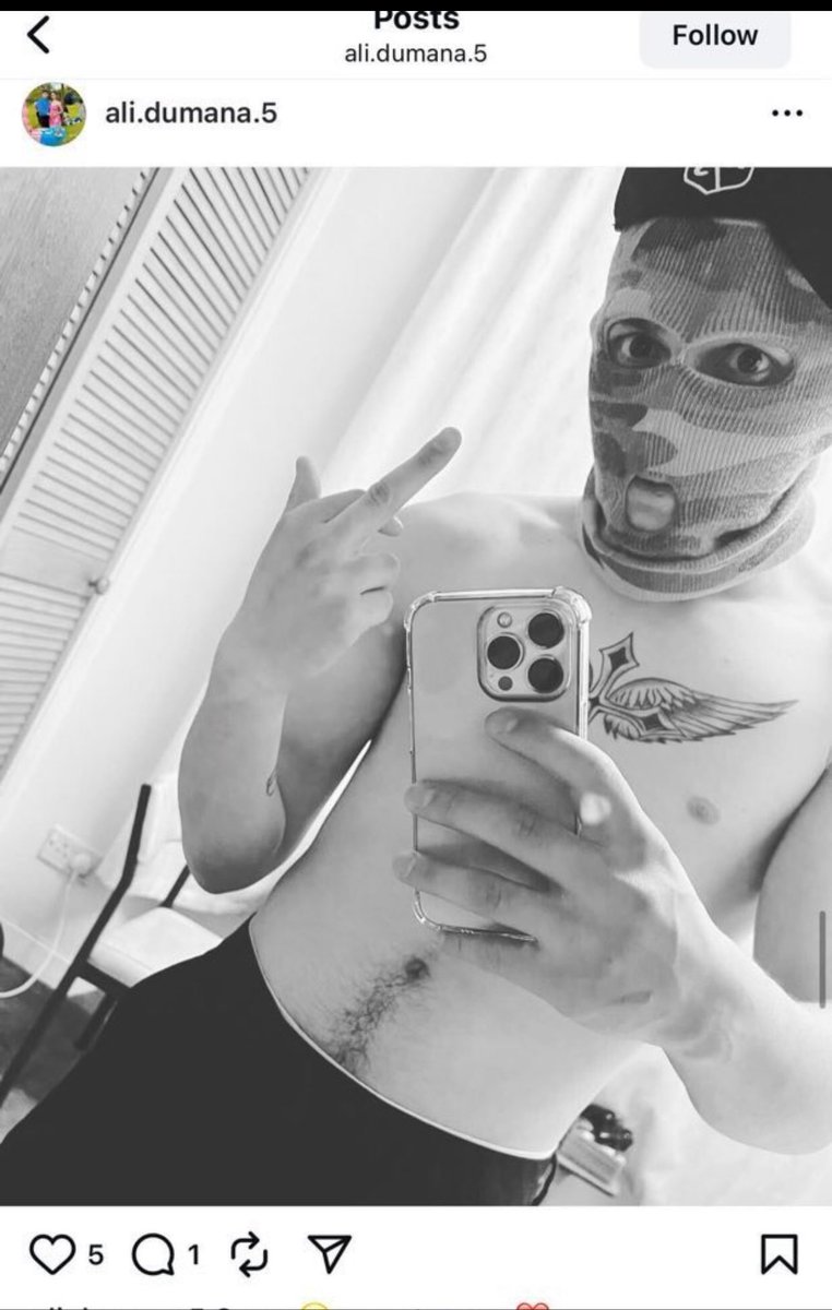 memetic_sisyphus tweet media