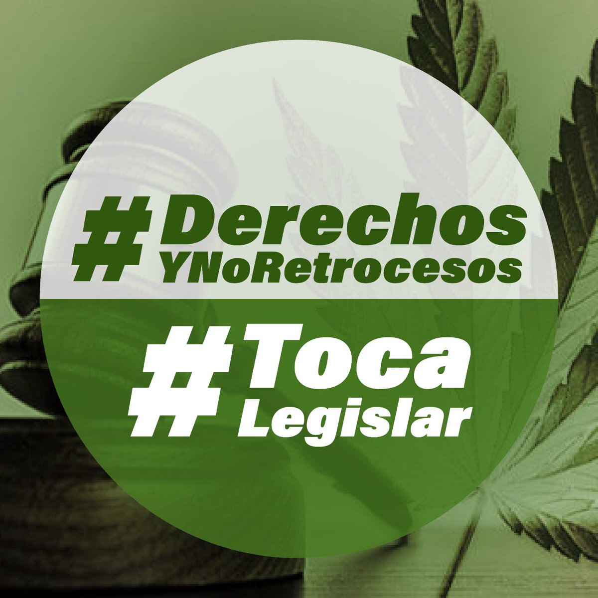 La nueva legislatura debe atender lo mandatado por la <a href="/SCJN/">Suprema Corte</a> desde hace 4 años: la regulación de cannabis. Si lo dejamos en el limbo, se seguirá fortaleciendo al C.O. y vulnerando los derechos de los ciudadanos. #TocaRegular #DerechosYNoRetrocesos