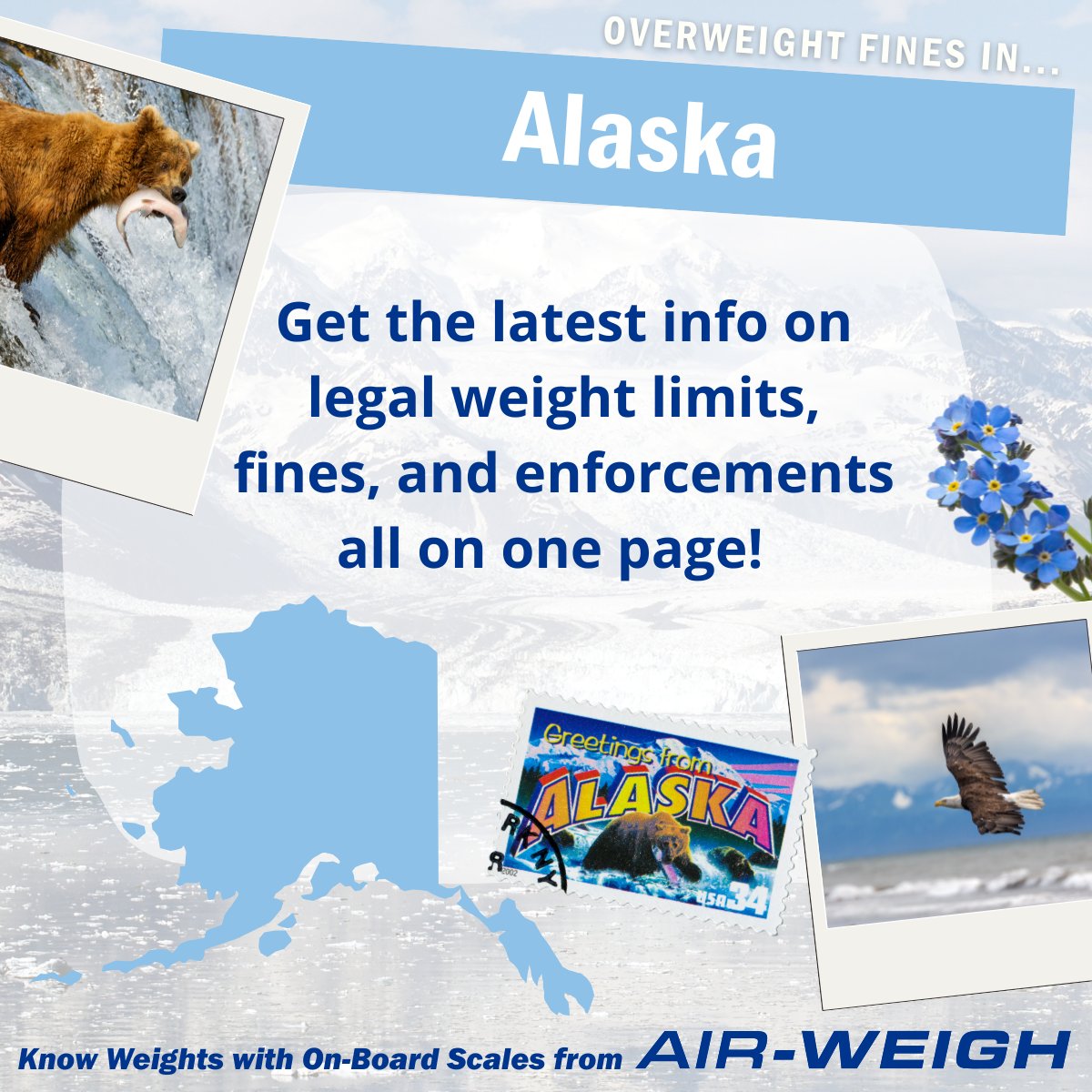 The legendary Alaska's Dalton Highway, also known as the "Haul Road," stretches over 400 miles to the Arctic Ocean and passing by the famous Yukon River Bridge and the Brooks Range. And speaking of famous Alaskan things, who doesn't love wild salmon? Trucking and logistics play a