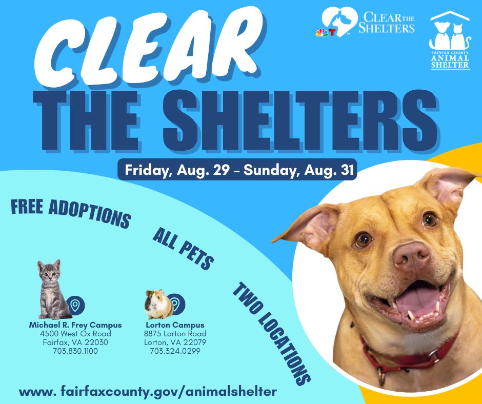 #ClearTheShelters is finally here! 

Starting TODAY through Sunday, Aug. 31, adoption fees are waived for ALL pets! 🐶🐱🐰🐹

Follow the link to find your next best friend: bit.ly/3Q4Odk9