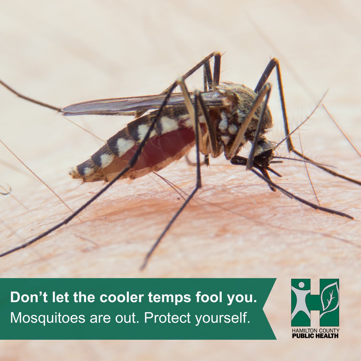 Out enjoying Labor Day weekend? So are mosquitoes. 🦟

Take these steps to reduce mosquito bites:

💧 Drain standing water around your home
🧴 Use larvicide “dunks” in water you can’t empty
🛡️ Use EPA-approved insect repellent

More bite prevention tips at bit.ly/MosquitoContro…