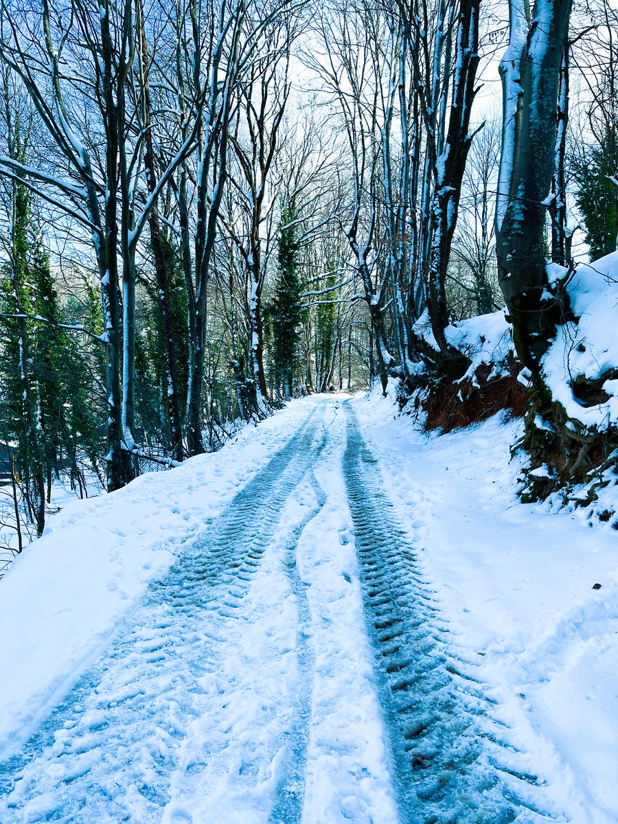 Avarkan (@avarkan_) on Twitter photo 