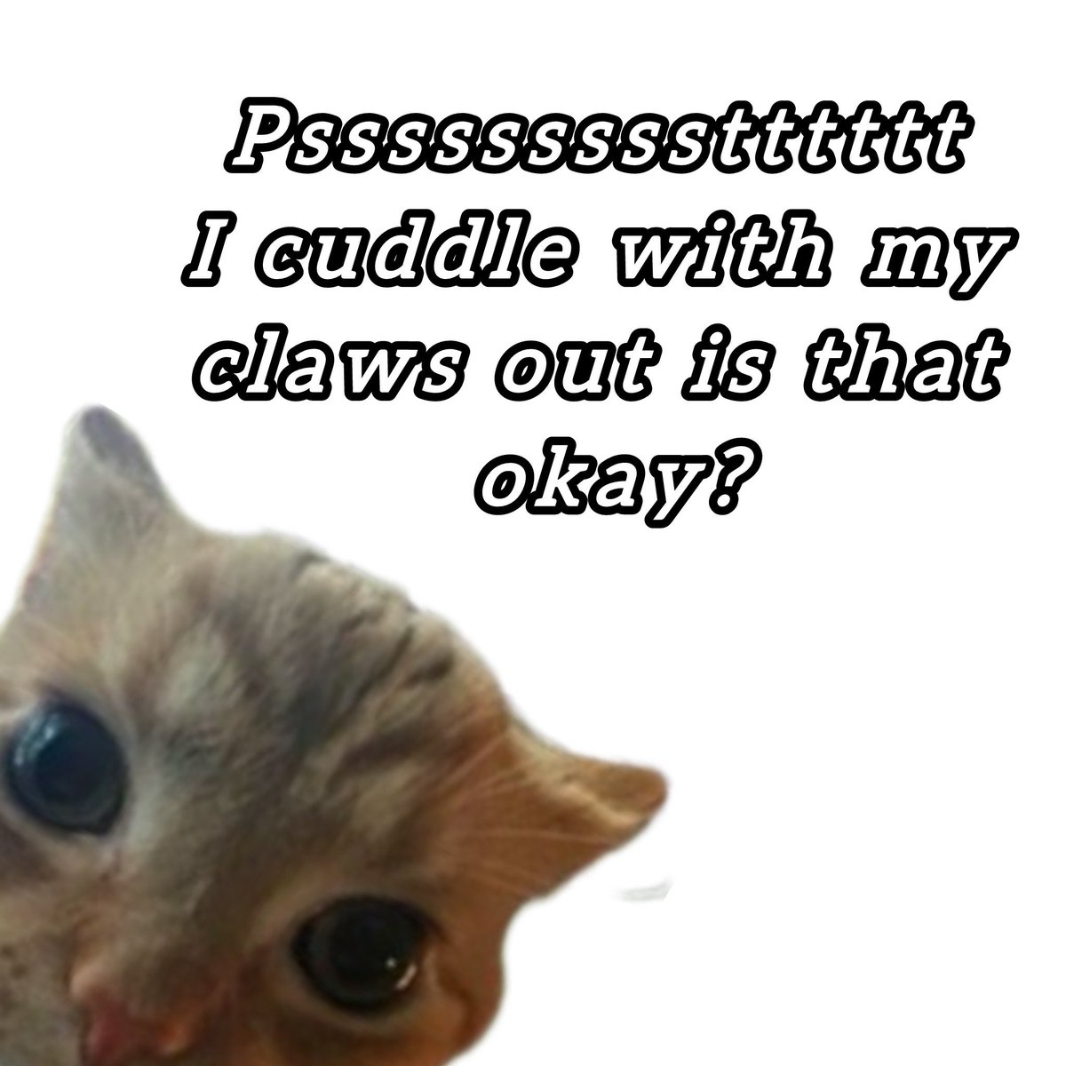 GaK (@gakstercat) on Twitter photo 