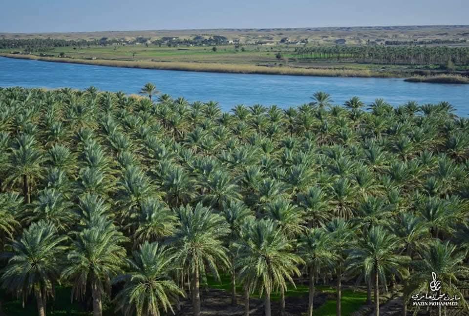 أعلل النفس بالآمال أرقبها * 
ما أضيق العيش لولا فسحة الأمل
لم أرتض العيش والأيام مقبلة  
  فكيف أرضى وقد ولت على عجل
يا واردا سؤر عيش كله كدر  *
  أنفقت صفوك في أيامك الأول
ترجو بقاء بدار لا نبات بها  *
  فهل سمعت بظل غير منتقل
على ضفاف نهر الفرات ❤️