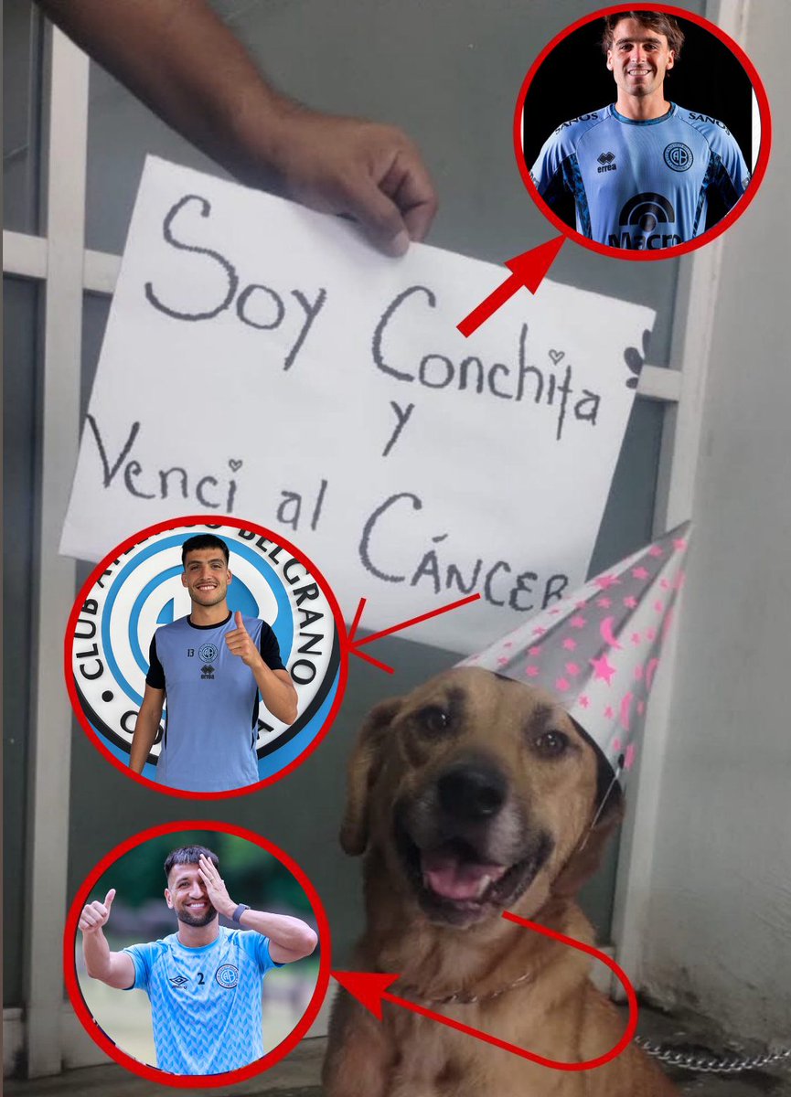 Marcossnz 🃏 (@zapelista) on Twitter photo 