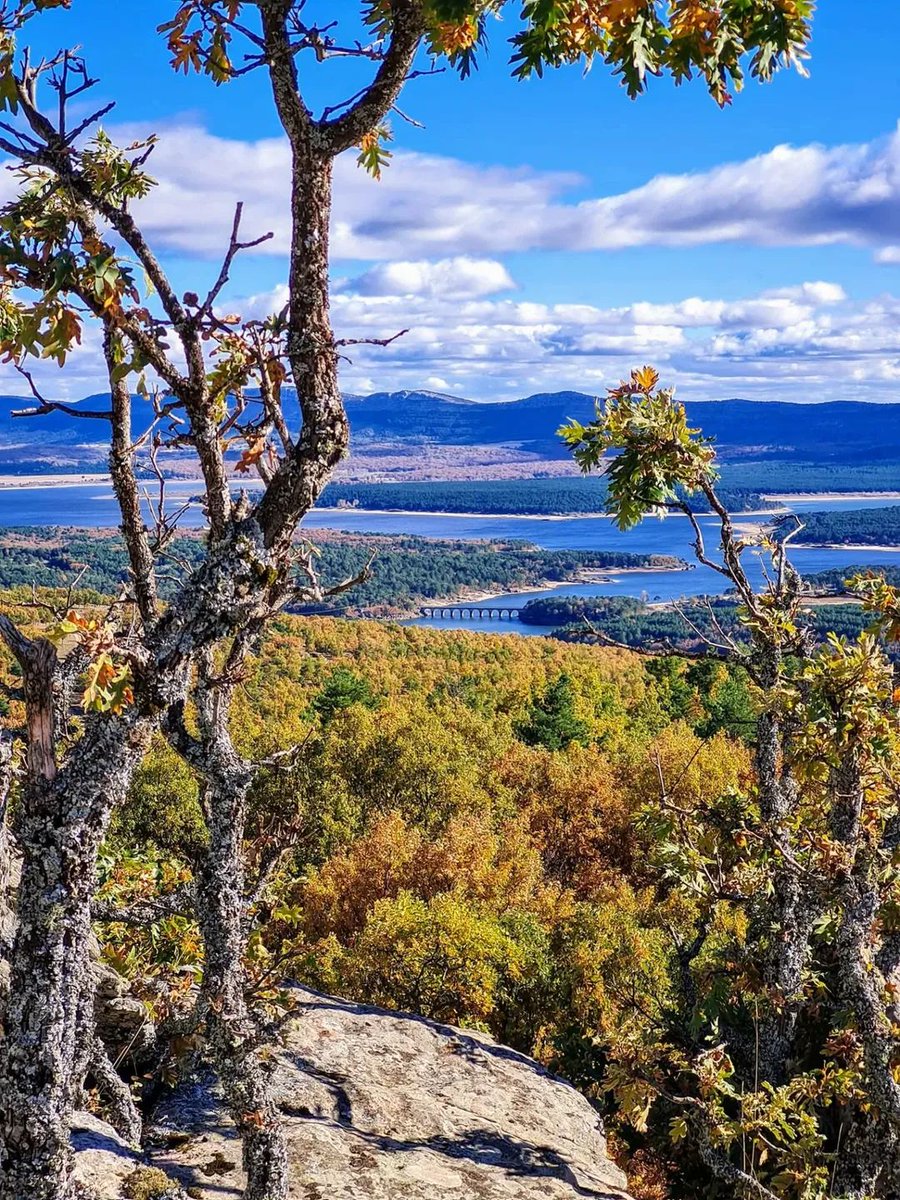 Soriaestademoda's tweet image. ¡Vistazas increíbles al #Embalse de la #Cuerda del Pozo!
El mirador del 𝗣𝗶𝗰𝗼 𝗱𝗲𝗹 𝗔𝗴𝘂𝗶𝗹𝗮 es de muy fácil acceso mediante buenos caminos forestales 
Hay sendas que atraviesan robledales y pinares desde #Molinos de #Duero y #Salduero
#soria #soriaestademoda @CyLEsVida