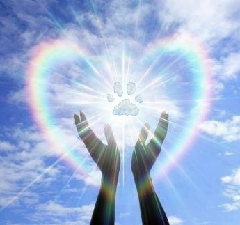 HealingPurrsPawty (RIP 🌈 all Angels ❤️) (@healingpurrspaw) on Twitter photo ☆☆#HealingPurrsPawty☆☆
Big FANX YOO 2 all whoCame2diz wunnerfurlPawty 2 honor our palz OTRB! 💞 CyaNextFurriday!
SpeshualFanx2 <a href="/RealFakeGator/">Gator The Catahoula</a> <a href="/danapixie/">Mitzi & Madi's staff. LOVE Daffy & TSK 🌈❤️😢💔</a> <a href="/catgirl321/">Nutmeg's Crew🌻🇺🇦</a> <a href="/PuppyNumber7/">Sir Thomas Archer .. Angel</a> <a href="/Bea_Bells/">Bea</a> <a href="/LolaMennola/">Lola 🌈 💔 21/07/25 💔</a> <a href="/TJS12145/">TJS</a> <a href="/MatthewSummors/">Alfie the Cat</a> <a href="/JesseJames0216/">Jesse James 💜’s Olly Forever</a> 🦋Peyton🦋 <a href="/4catsstrapski/">Angel Bode here take back my account.</a>🌈 ☆☆#HealingPurrsPawty☆☆
Big FANX YOO 2 all whoCame2diz wunnerfurlPawty 2 honor our palz OTRB! 💞 CyaNextFurriday!
SpeshualFanx2 <a href="/RealFakeGator/">Gator The Catahoula</a> <a href="/danapixie/">Mitzi & Madi's staff. LOVE Daffy & TSK 🌈❤️😢💔</a> <a href="/catgirl321/">Nutmeg's Crew🌻🇺🇦</a> <a href="/PuppyNumber7/">Sir Thomas Archer .. Angel</a> <a href="/Bea_Bells/">Bea</a> <a href="/LolaMennola/">Lola 🌈 💔 21/07/25 💔</a> <a href="/TJS12145/">TJS</a> <a href="/MatthewSummors/">Alfie the Cat</a> <a href="/JesseJames0216/">Jesse James 💜’s Olly Forever</a> 🦋Peyton🦋 <a href="/4catsstrapski/">Angel Bode here take back my account.</a>🌈