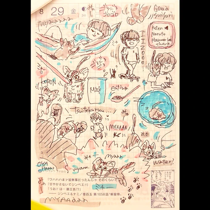 ほぼ日2025.8.29
すしらーめん《りく》くんの学校にやってきた迷子のネコさん可愛すぎた幸せに生きてくれ🐈🍣🍜 